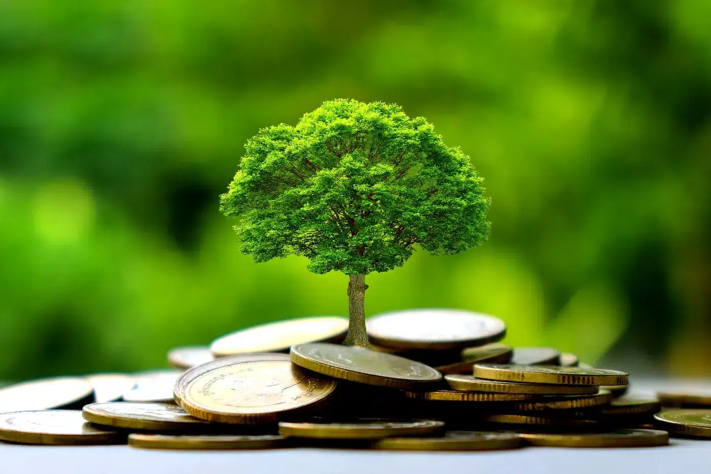 كل ما تريد معرفته عن التمويل الأخضر