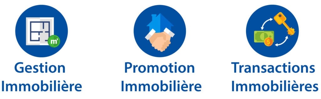 plan immobilier