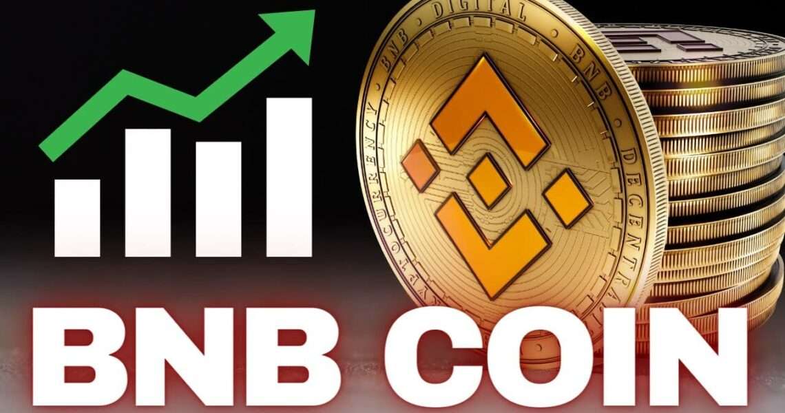 Todo Lo Que Necesitas Saber Sobre Binance Coin (BNB) | Finance De Demain