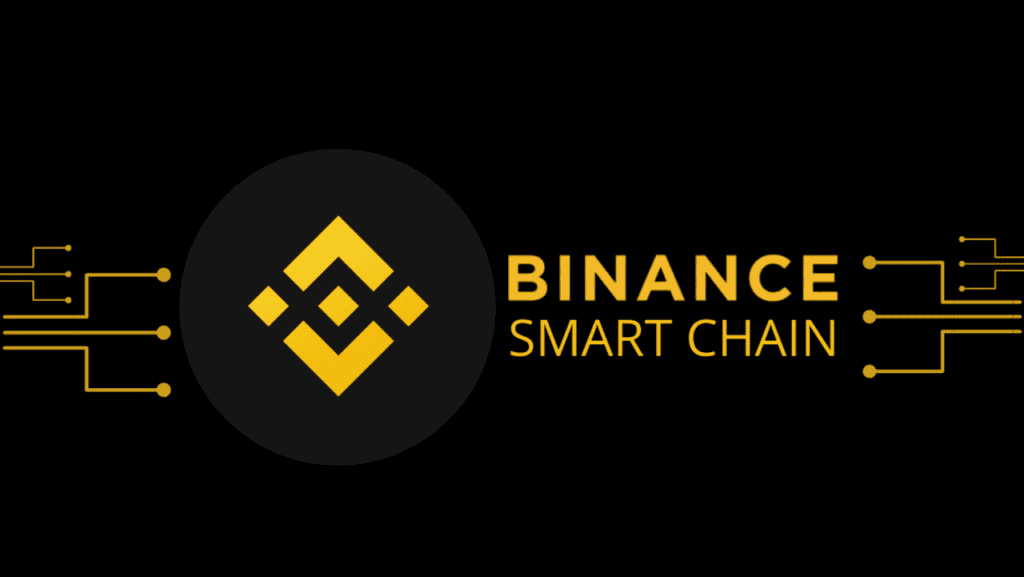 <strong>Que savoir sur la Binance Smart Chain (BSC) ❓</strong>