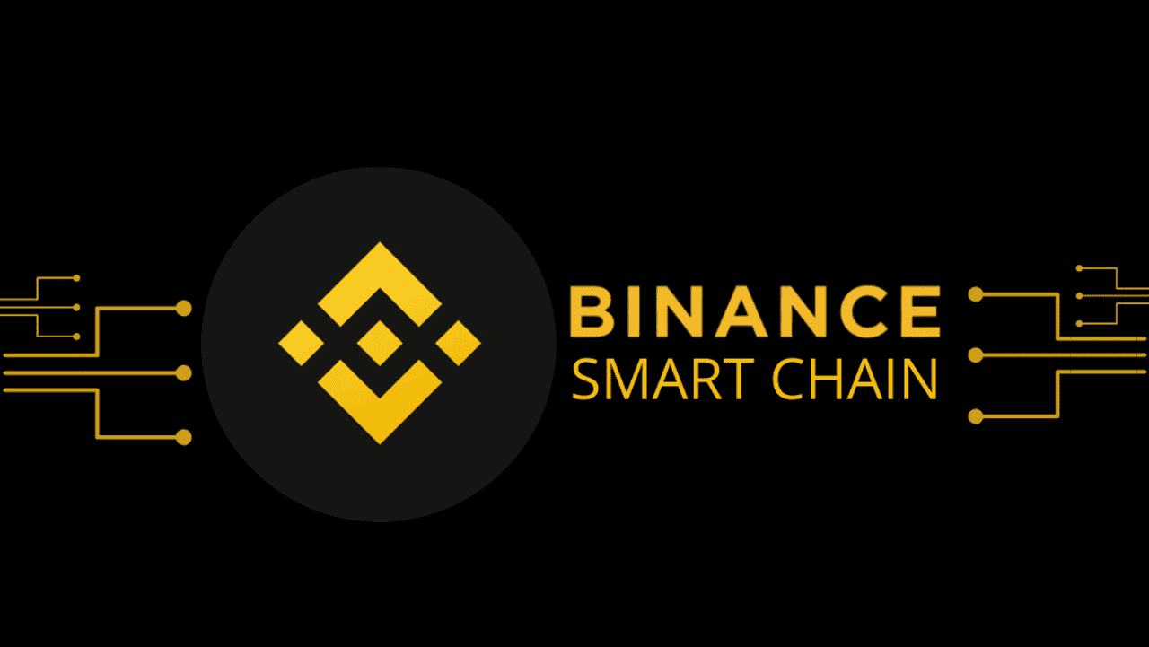 <strong>Que savoir sur la Binance Smart Chain (BSC)</strong>